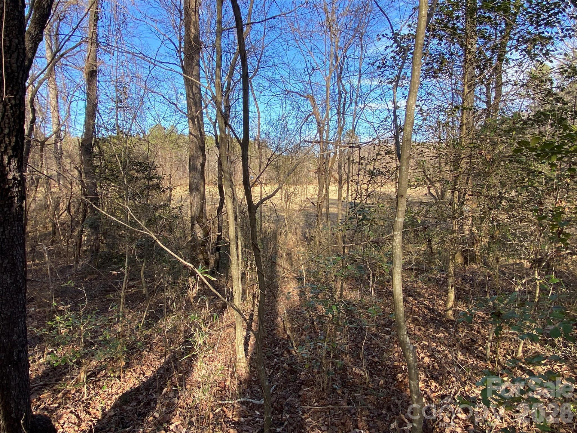 0 US Hwy 64/74A Highway - Photo 7