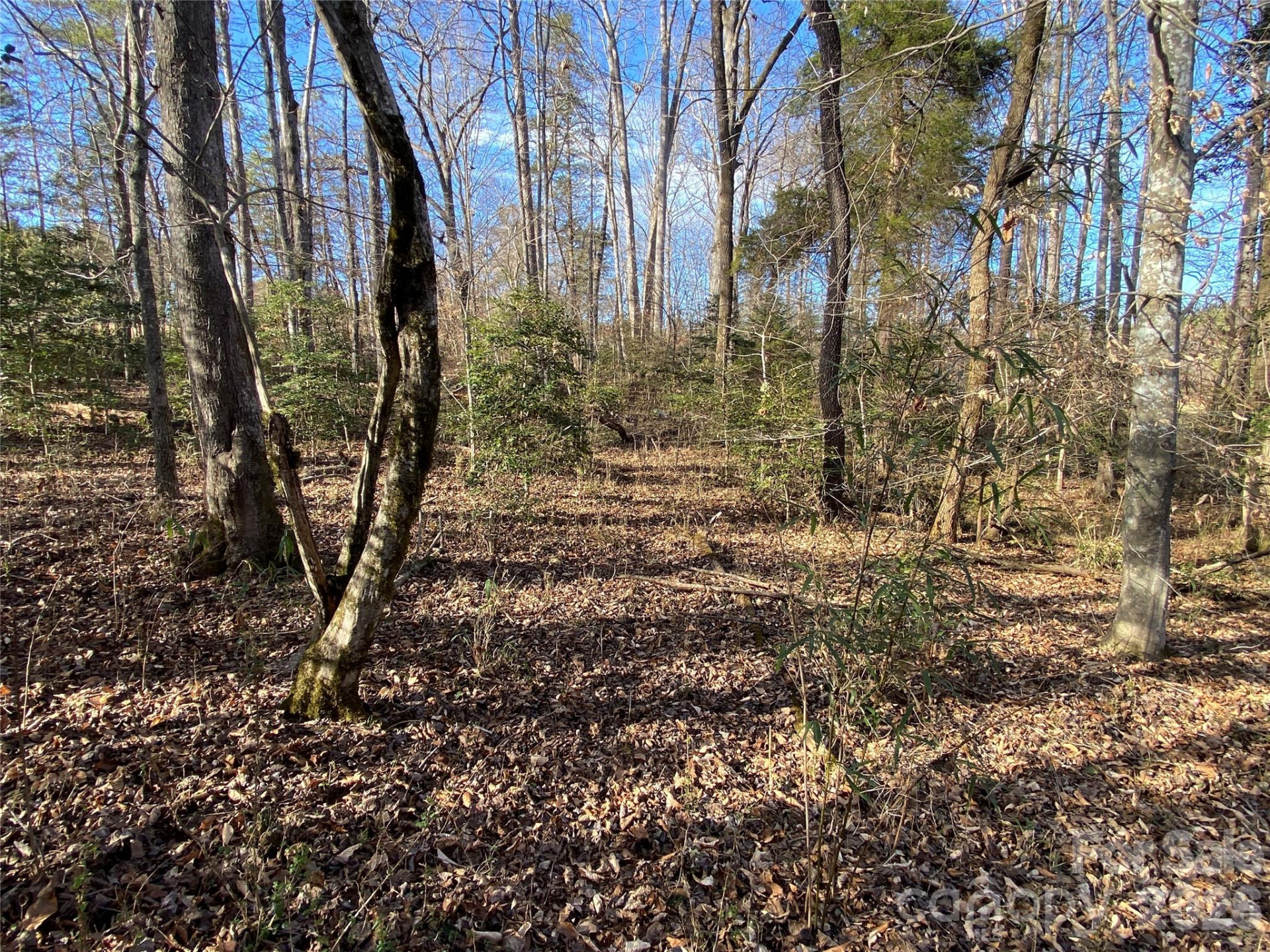 0 US Hwy 64/74A Highway - Photo 8