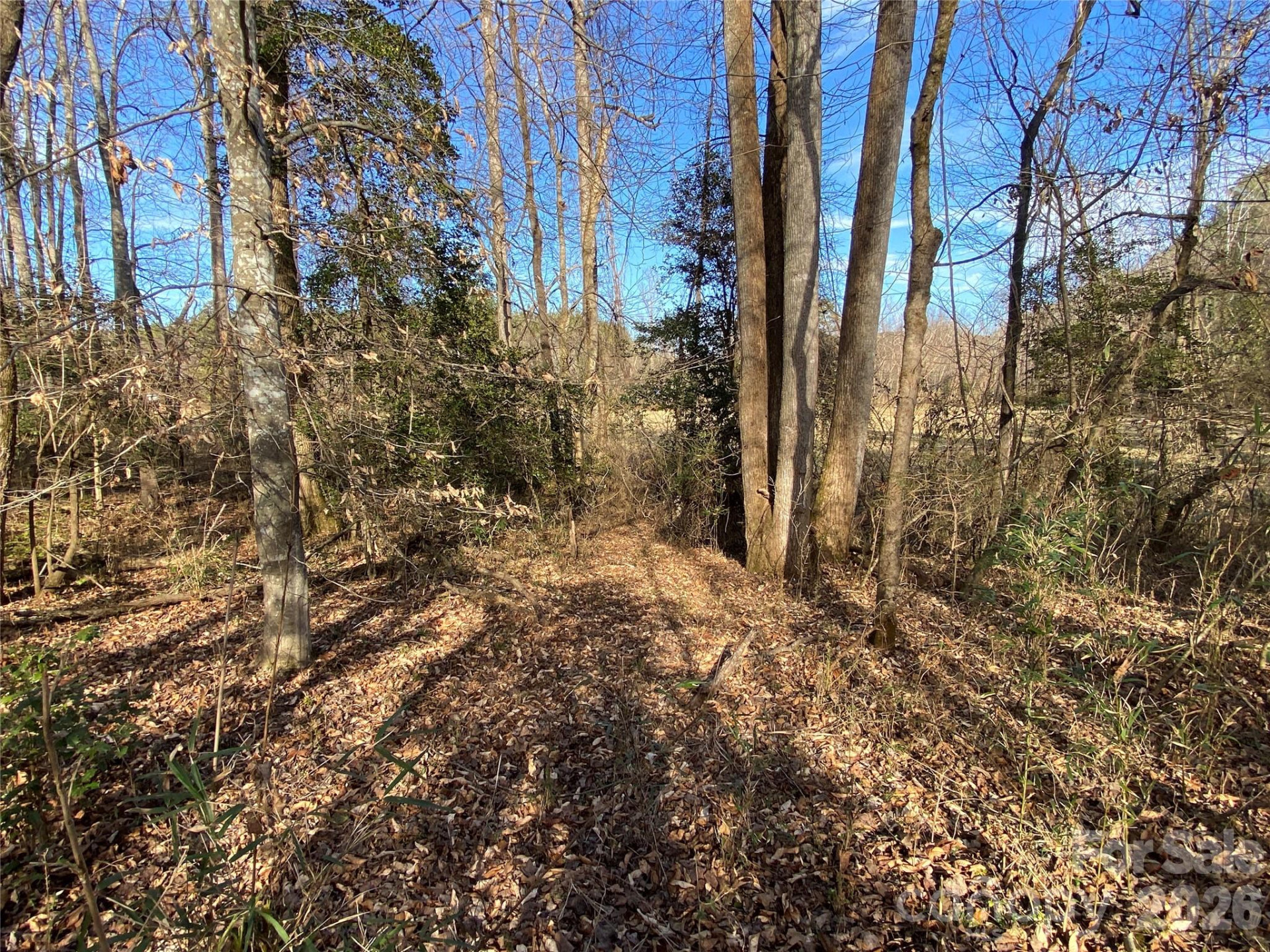 0 US Hwy 64/74A Highway - Photo 9