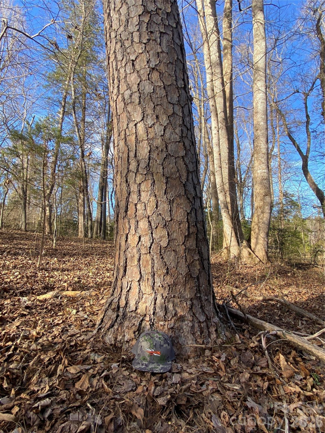 0 US Hwy 64/74A Highway - Photo 10