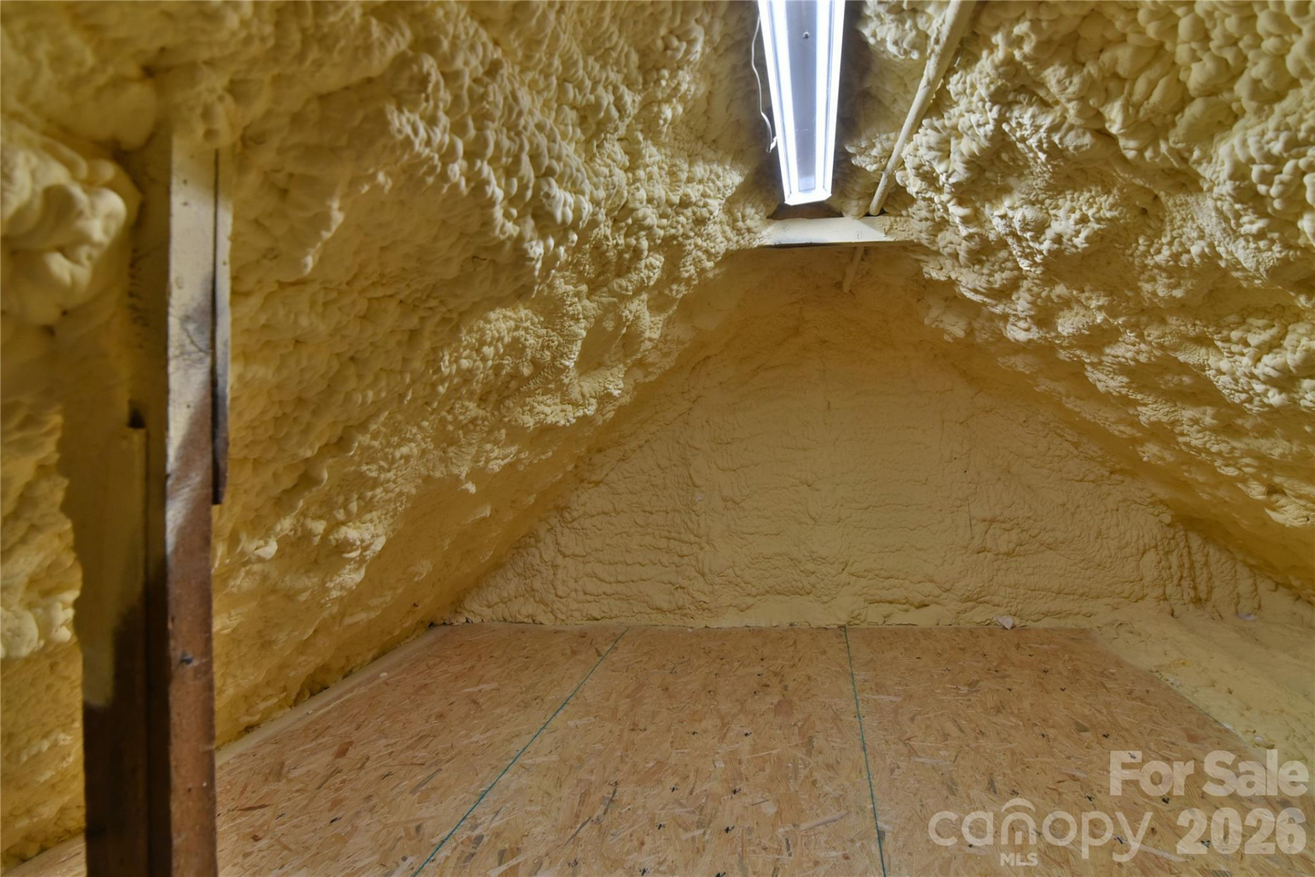 37 Buchanan Place - Photo 27