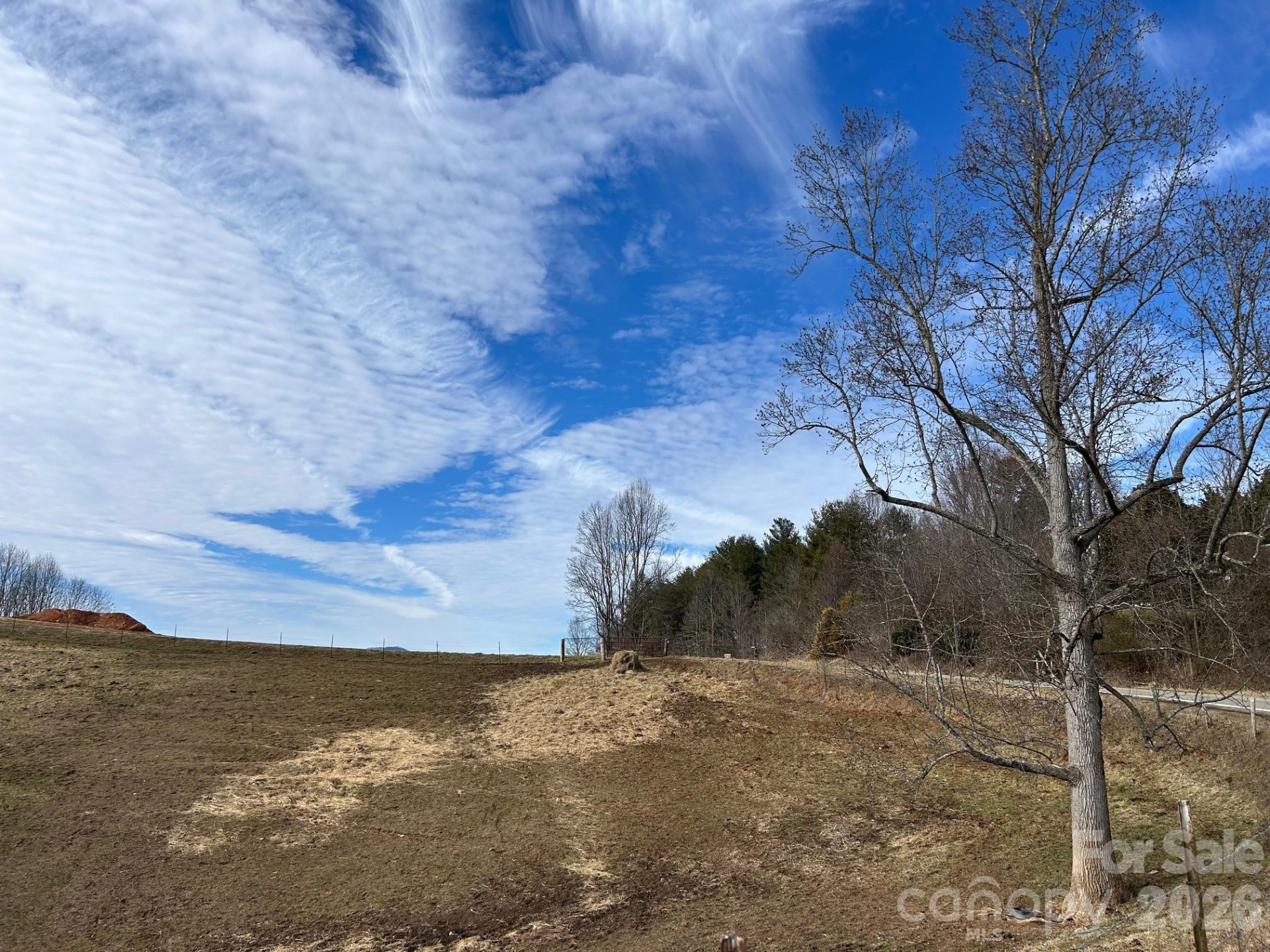 2776 Bend Of Ivy Road - Photo 4