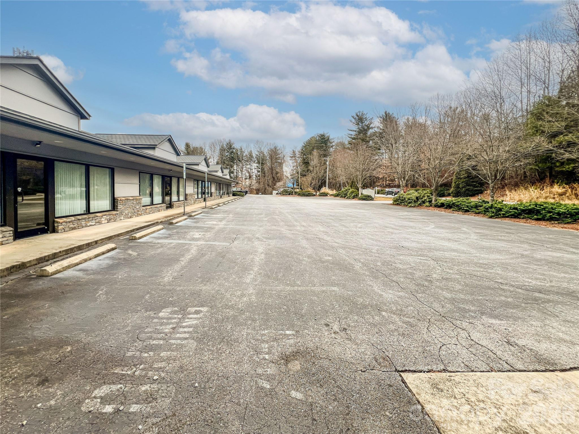 3179 Sweeten Creek Road - Photo 7