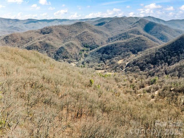 31 Reillys Bluff Road, Barnardsville, NC, 28709