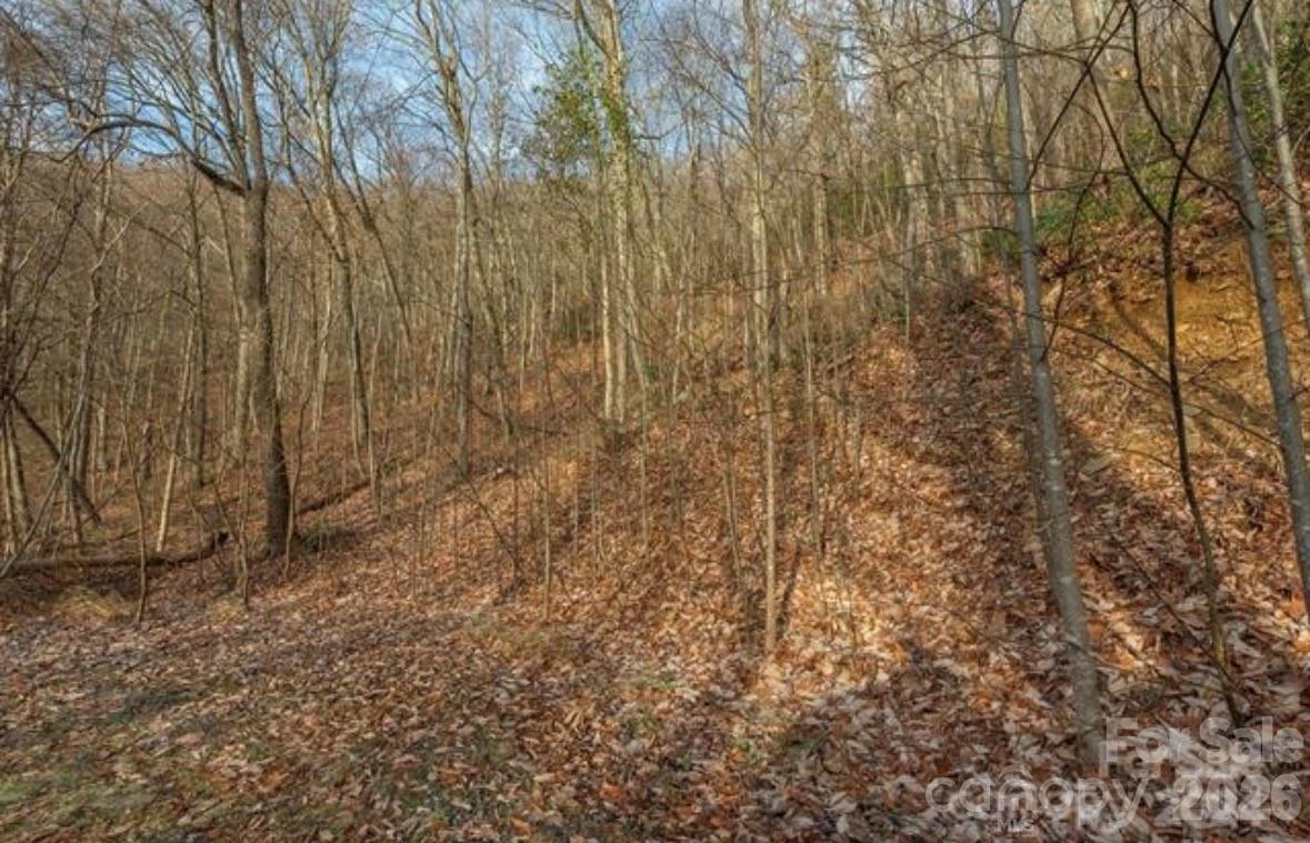 31 Reillys Bluff Road #2 - Photo 12