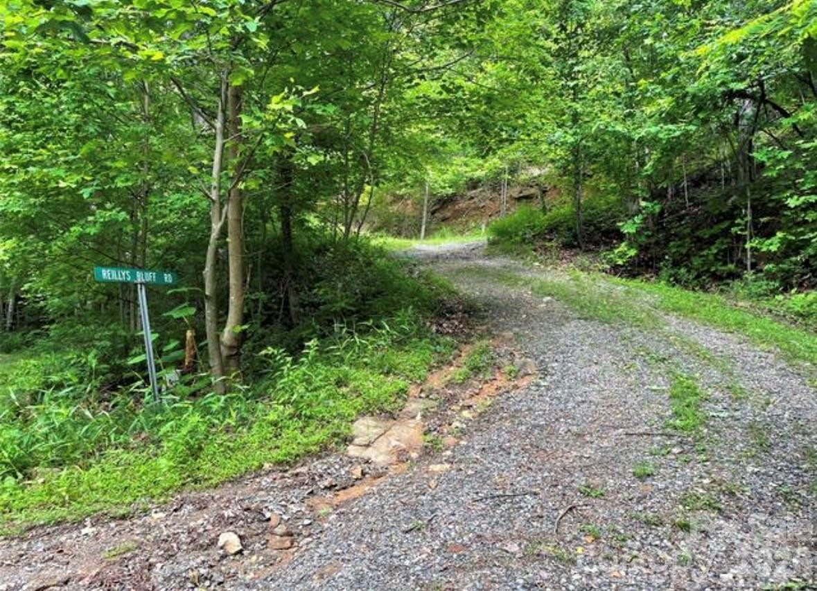 31 Reillys Bluff Road #2 - Photo 13