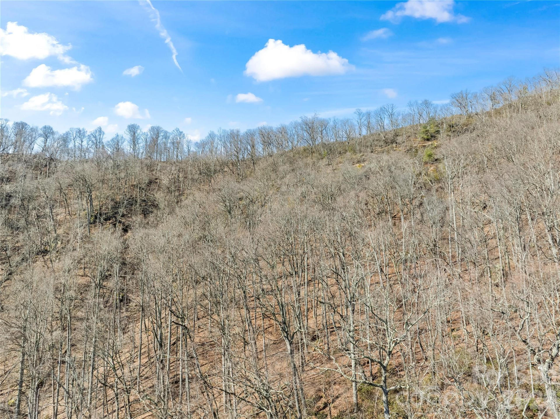 31 Reillys Bluff Road #2 - Photo 4