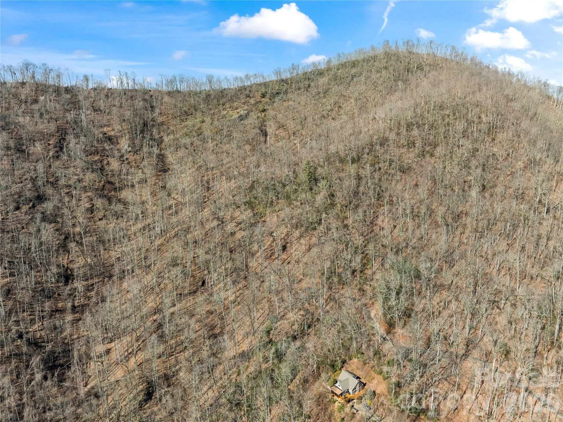 31 Reillys Bluff Road #2 - Photo 5