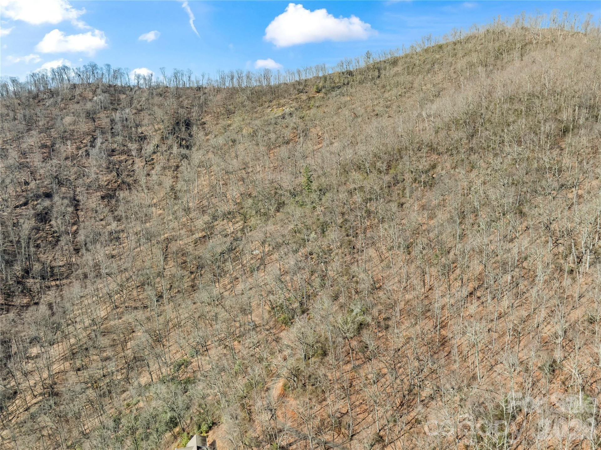 31 Reillys Bluff Road #2 - Photo 6