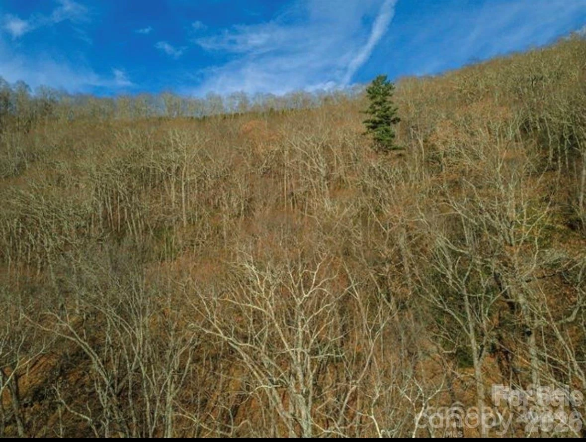 31 Reillys Bluff Road #2 - Photo 8