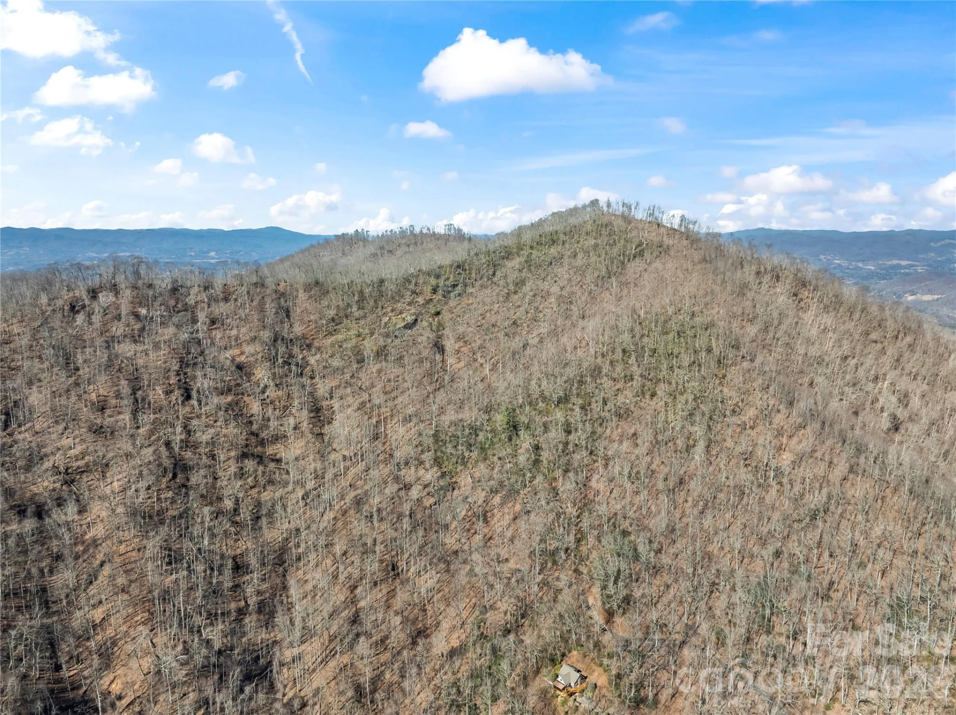 31 Reillys Bluff Road #2 - Photo 9