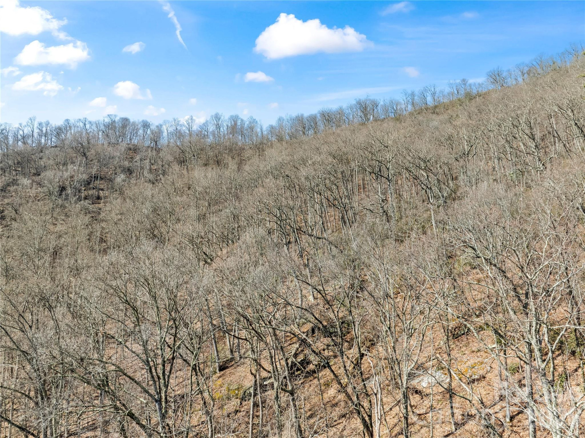 31 Reillys Bluff Road #2 - Photo 10