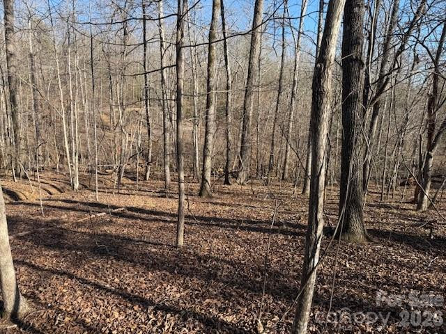 00 Valley Drive - Photo 12