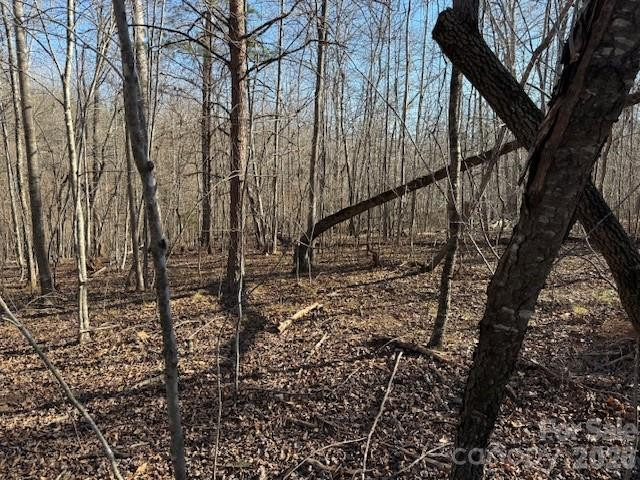 00 Valley Drive - Photo 4