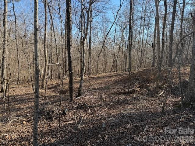 00 Valley Drive - Photo 5