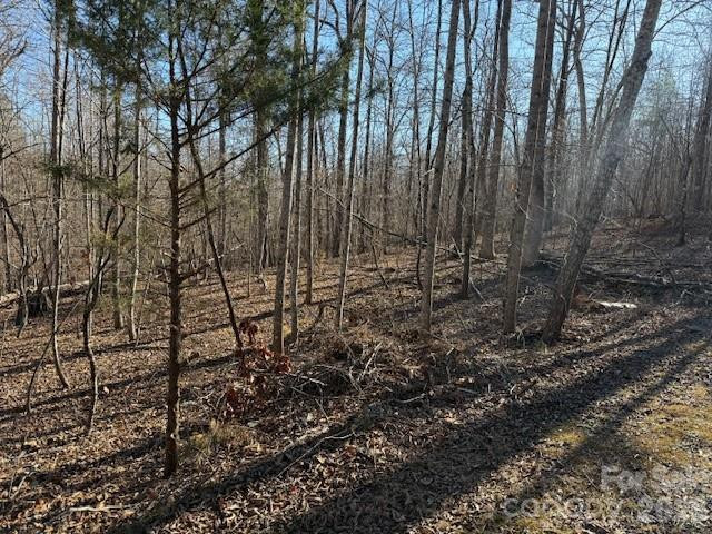 00 Valley Drive - Photo 6