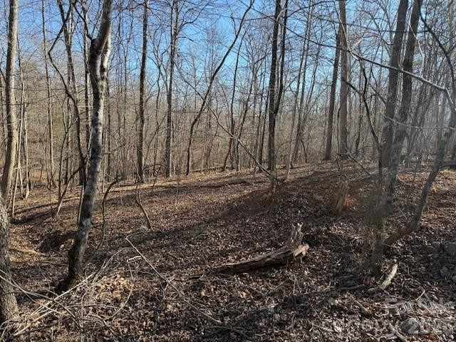 00 Valley Drive - Photo 8