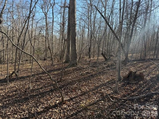 00 Valley Drive - Photo 10