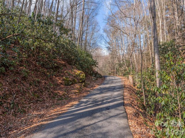 0 Coyote Hollow Road, Waynesville, NC, 28785