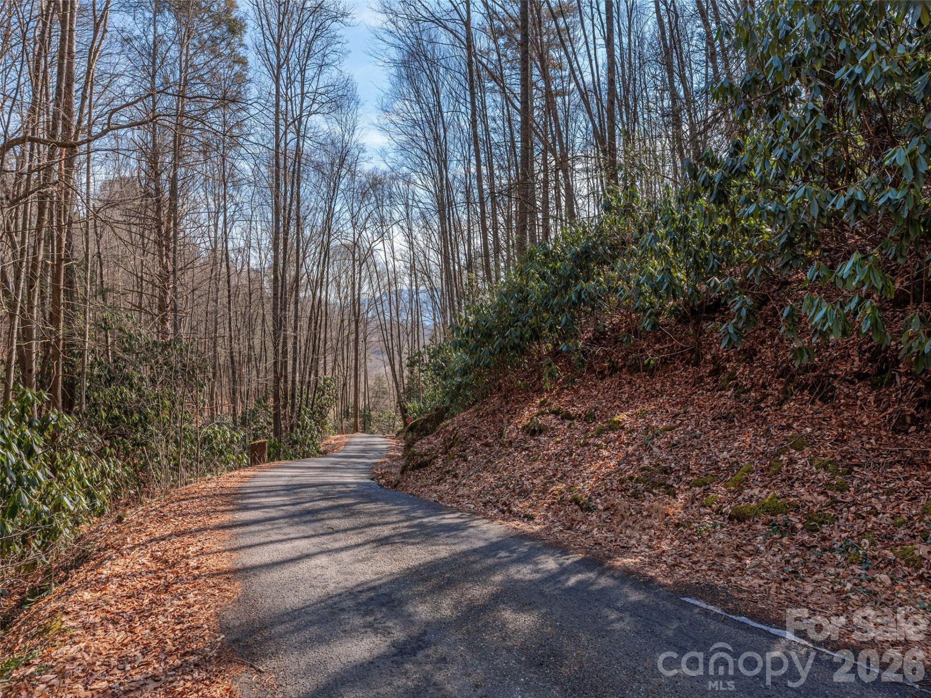 0 Coyote Hollow Road - Photo 3