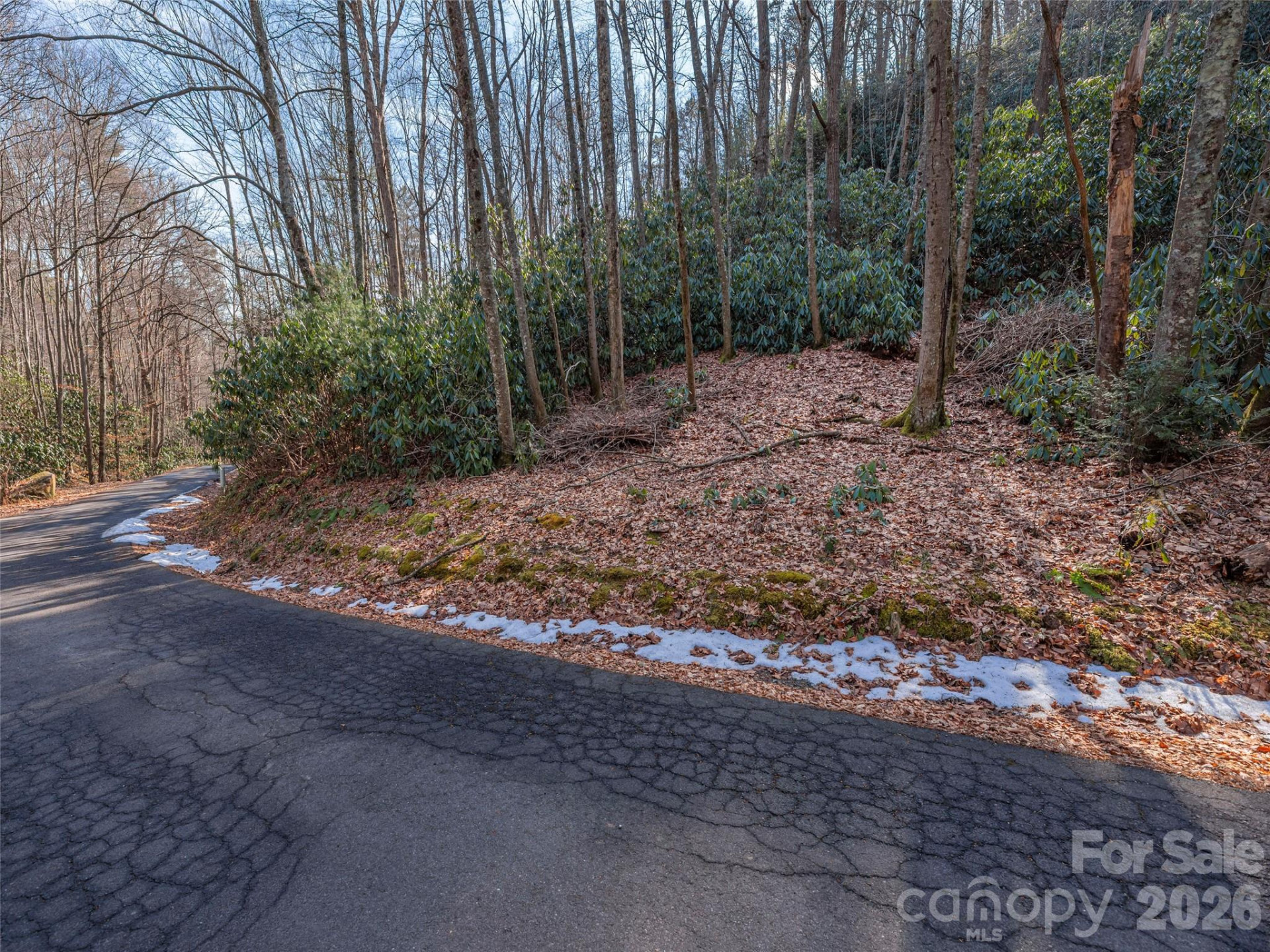 0 Coyote Hollow Road - Photo 4
