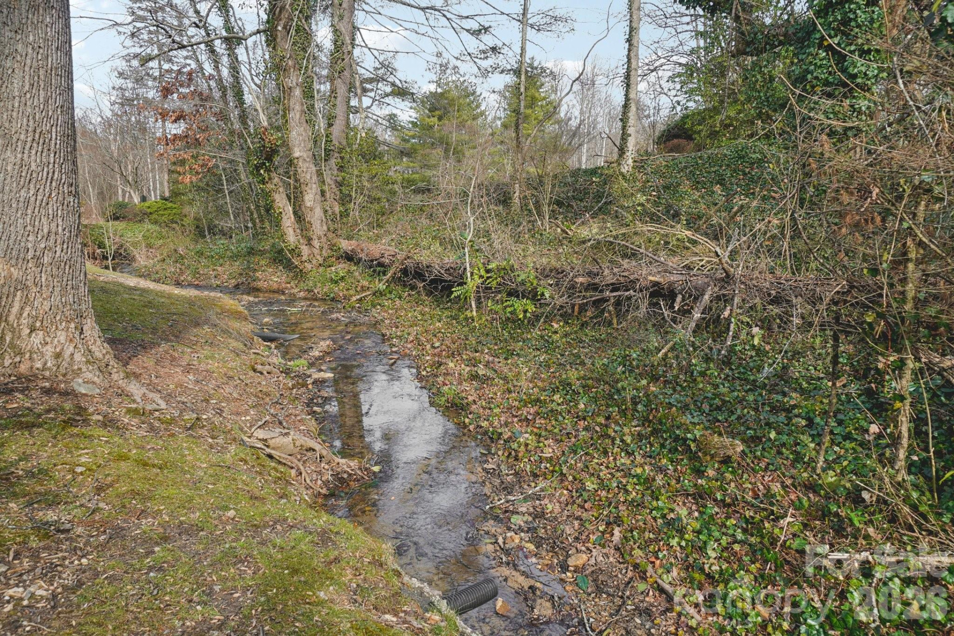 55 Lake Drive #P1 - Photo 25