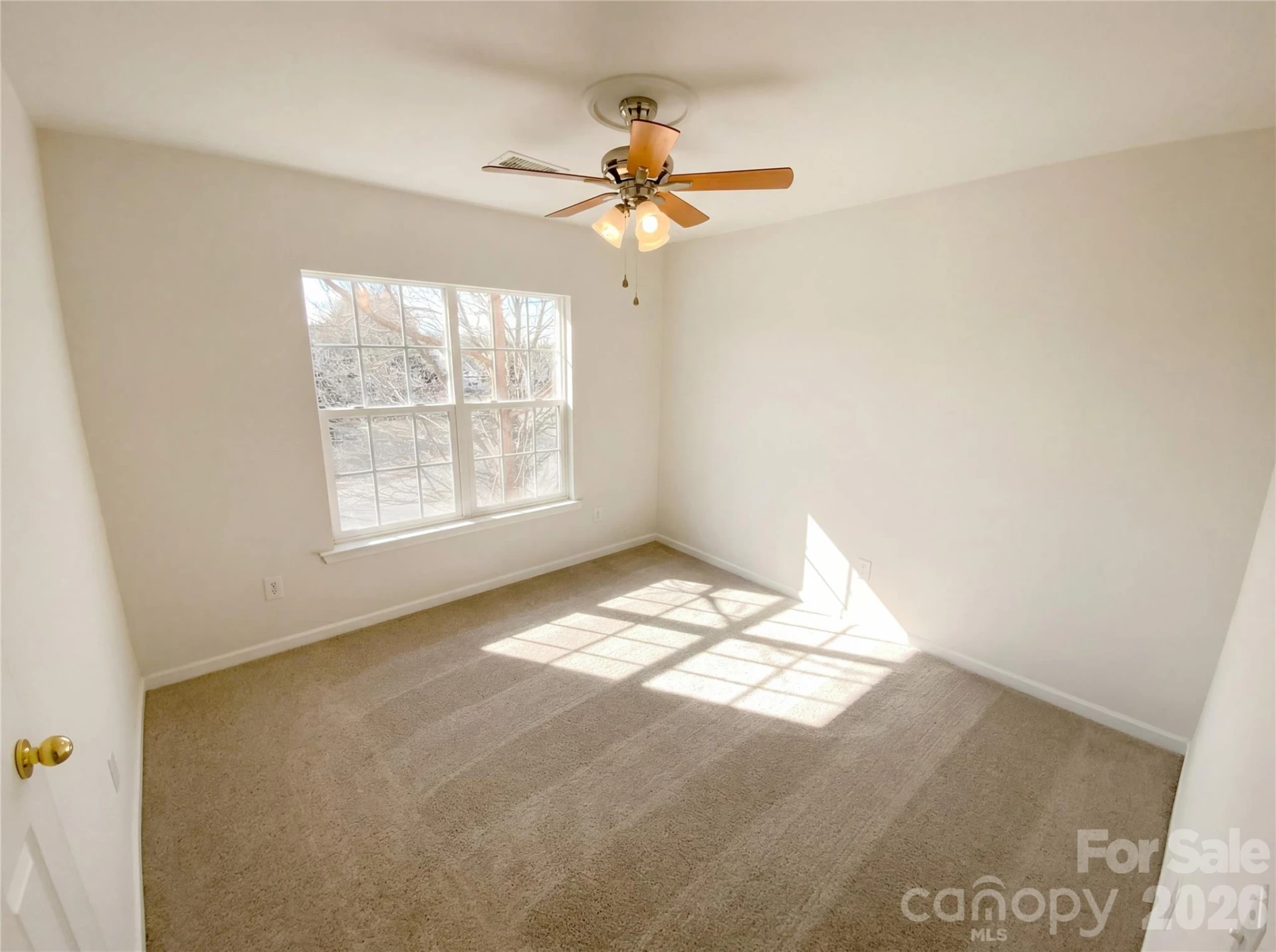 10803 Fountaingrove Drive - Photo 29