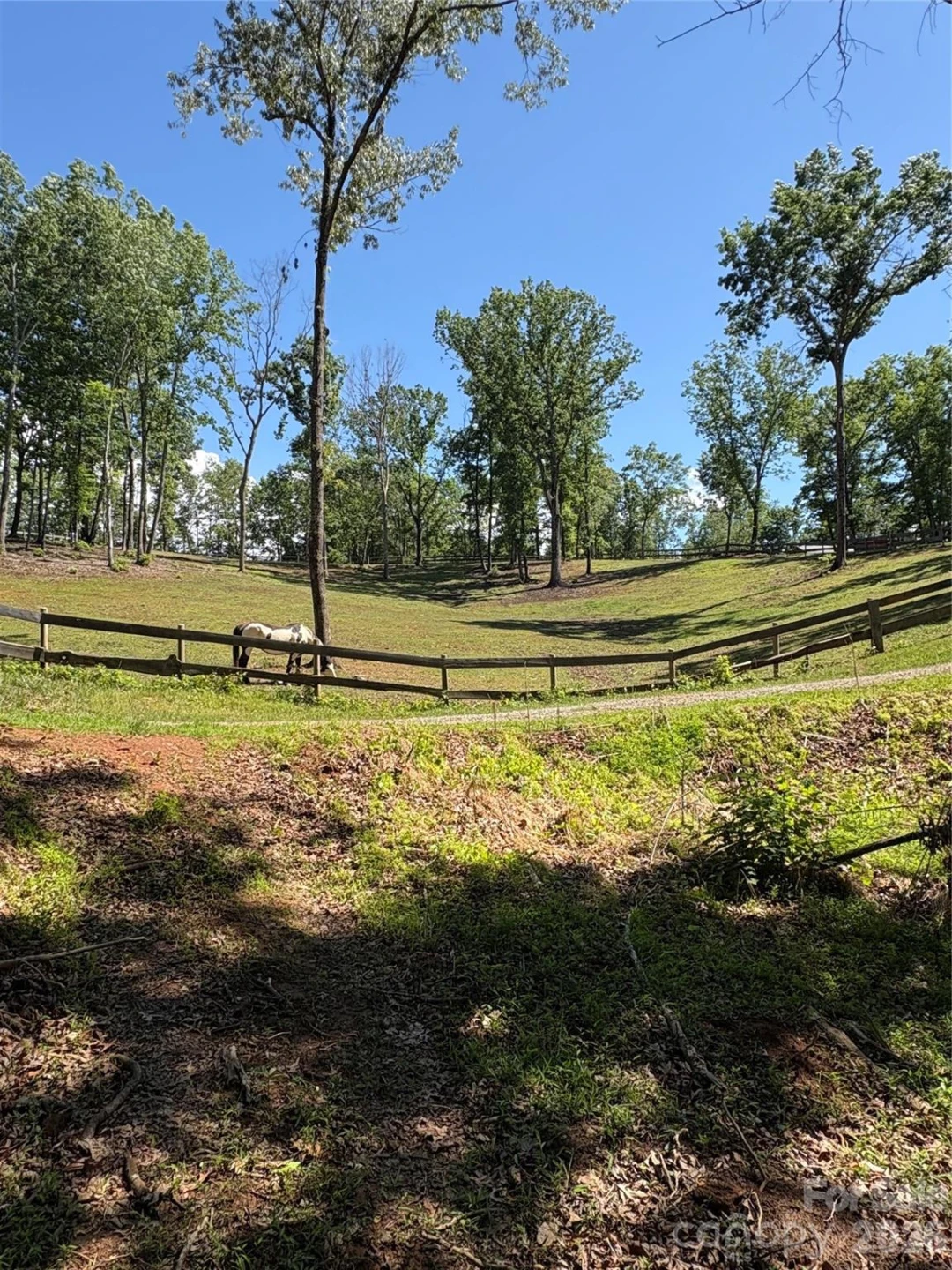 250 Burt Blackwell Road - Photo 36
