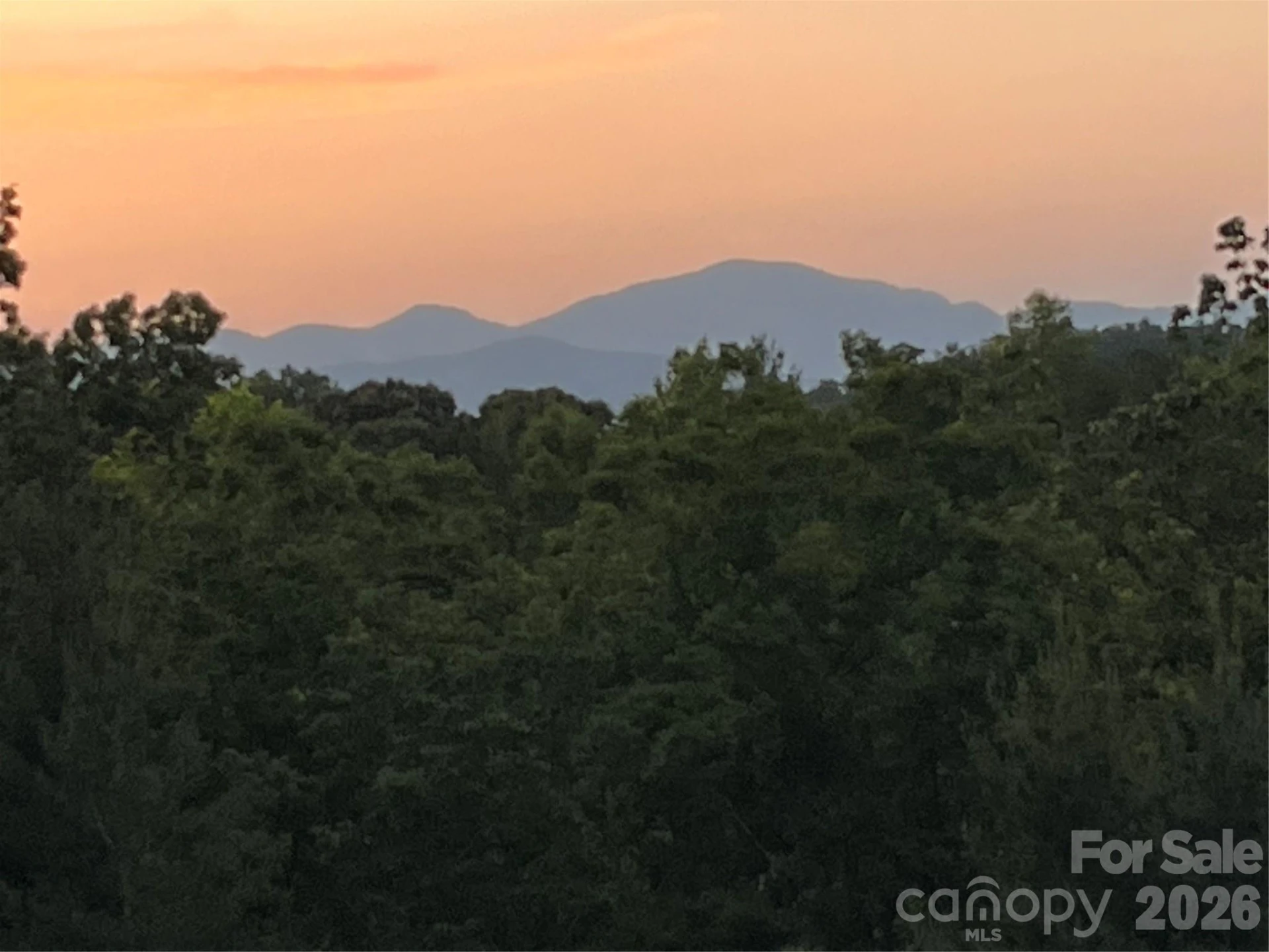 250 Burt Blackwell Road - Photo 4
