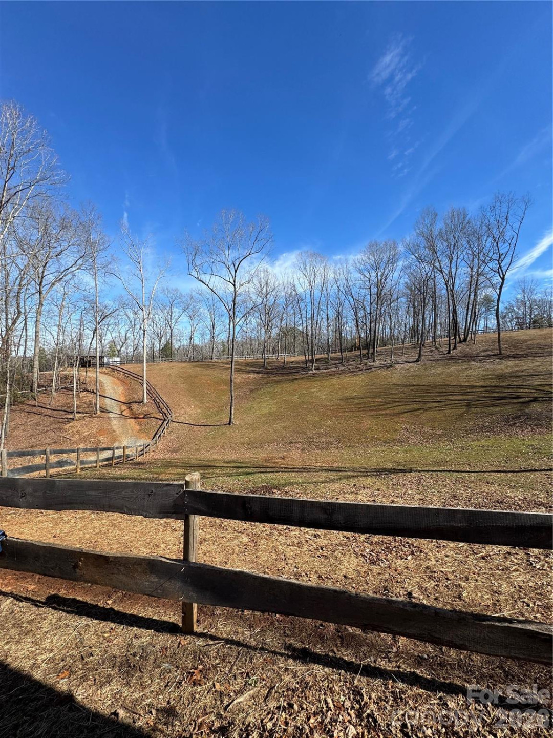 250 Burt Blackwell Road - Photo 45