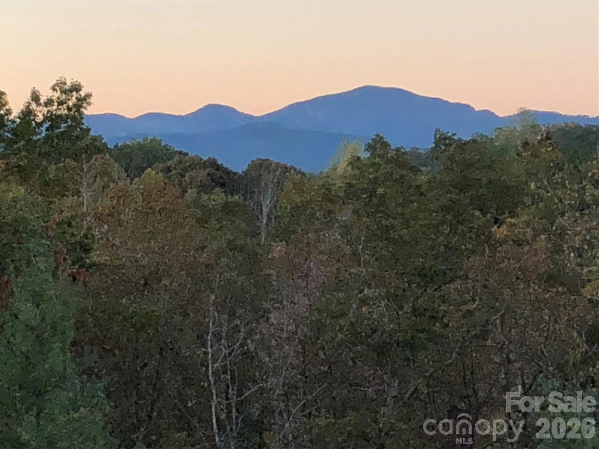250 Burt Blackwell Road - Photo 47