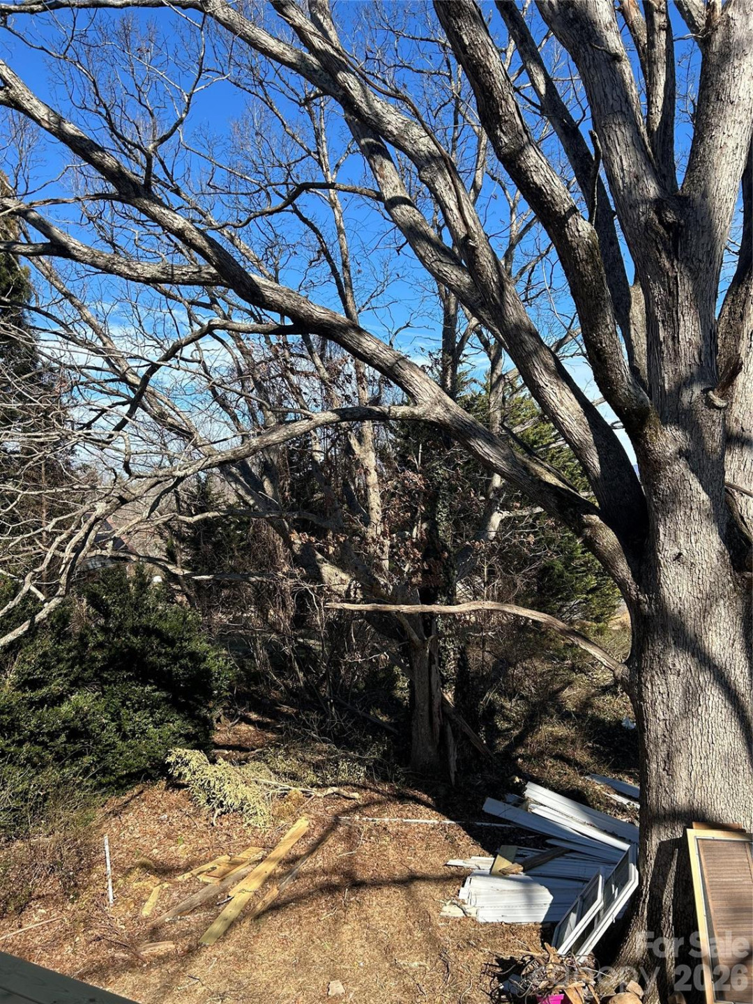 16 Mallory Lane - Photo 22