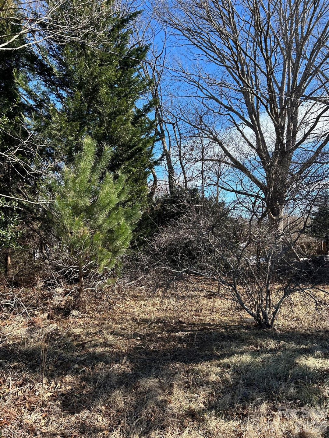 16 Mallory Lane - Photo 31