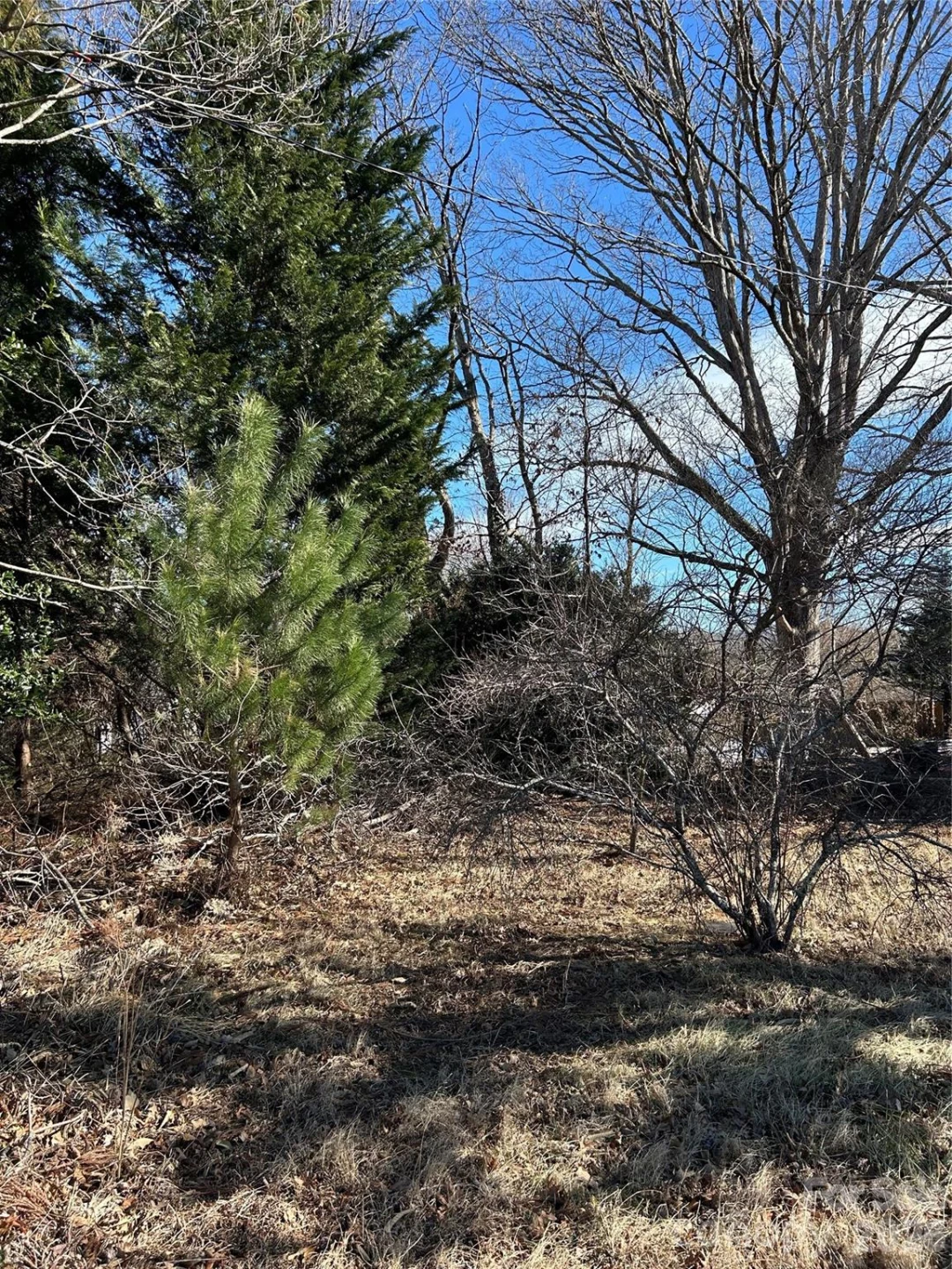 16 Mallory Lane - Photo 33