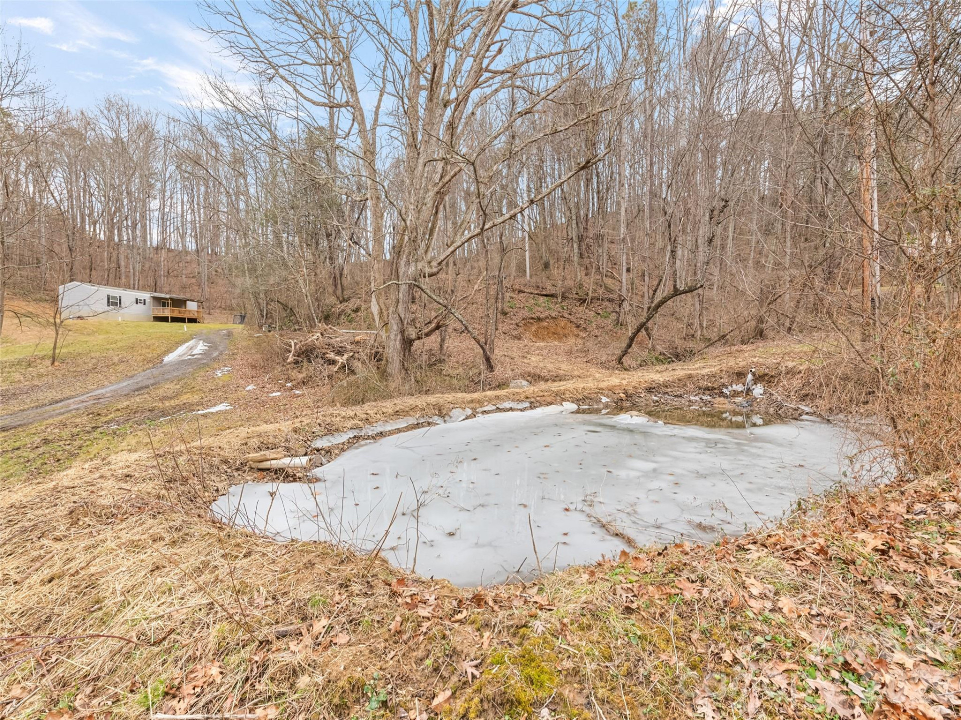 321 Shovel Creek Road - Photo 23