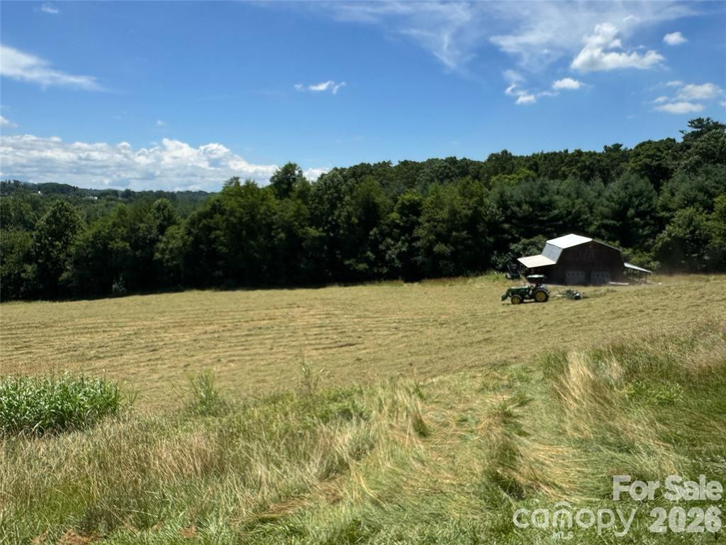 598 Miles View Road - Photo 9