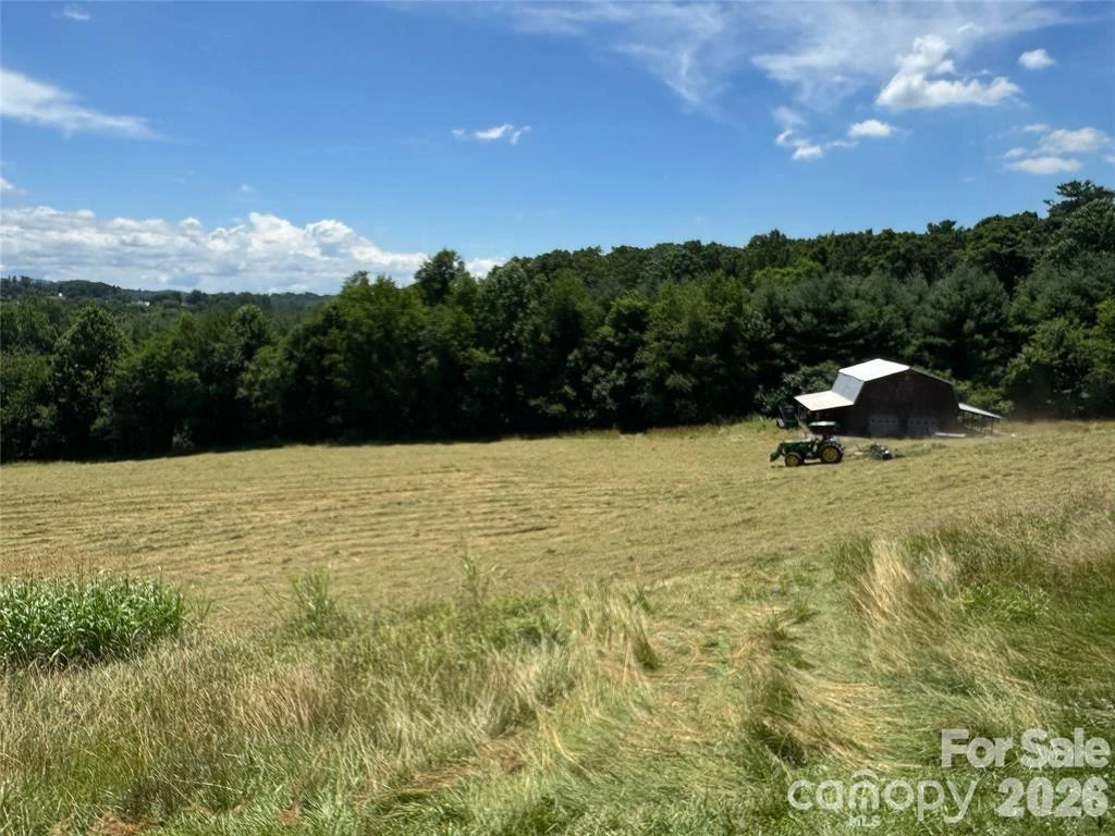 598 Miles View Road - Photo 9