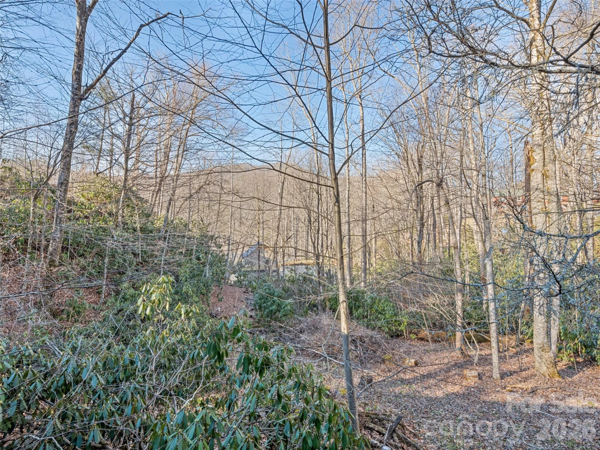 36 Mulberry Lane - Photo 33