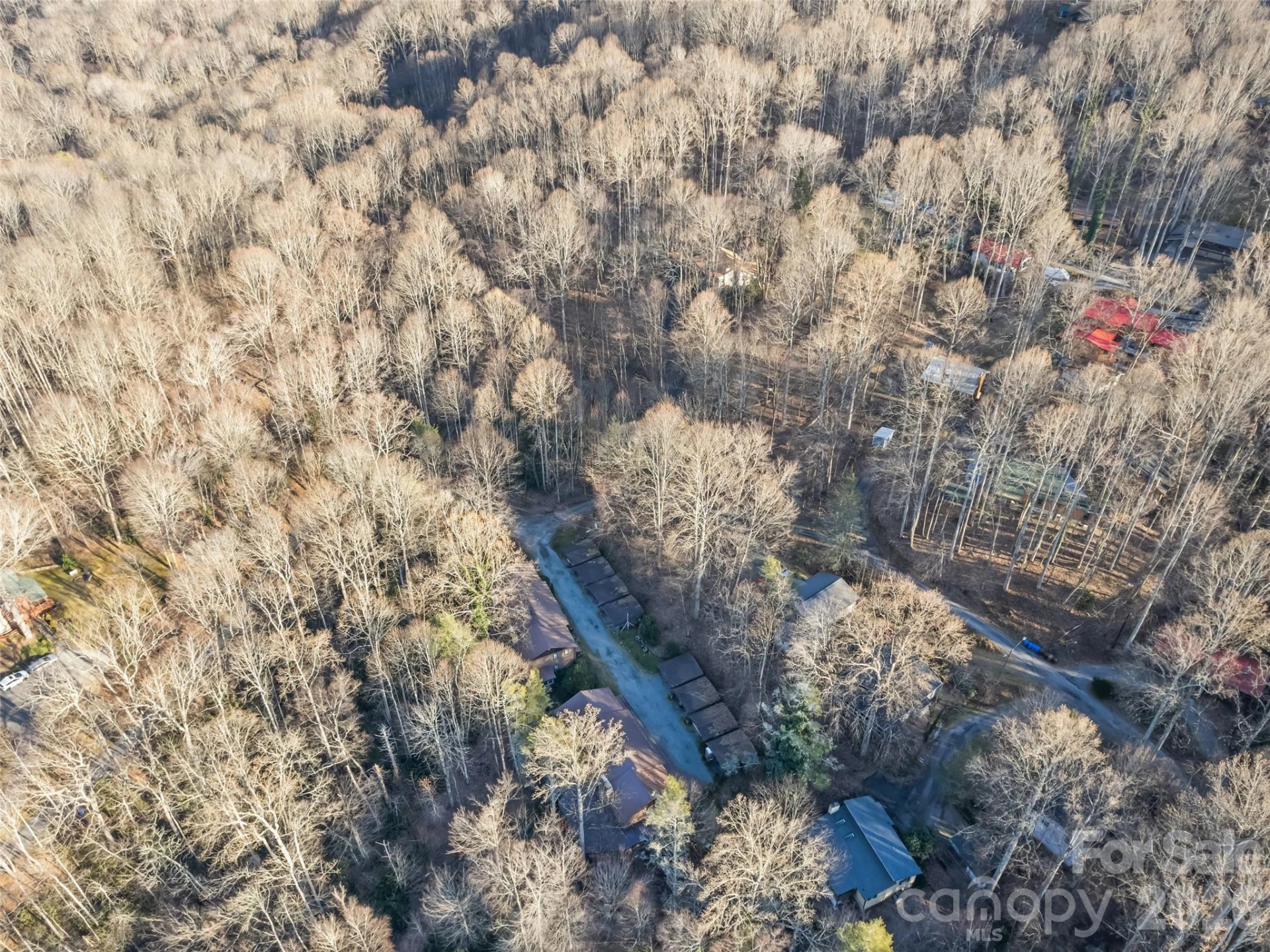 36 Mulberry Lane - Photo 8