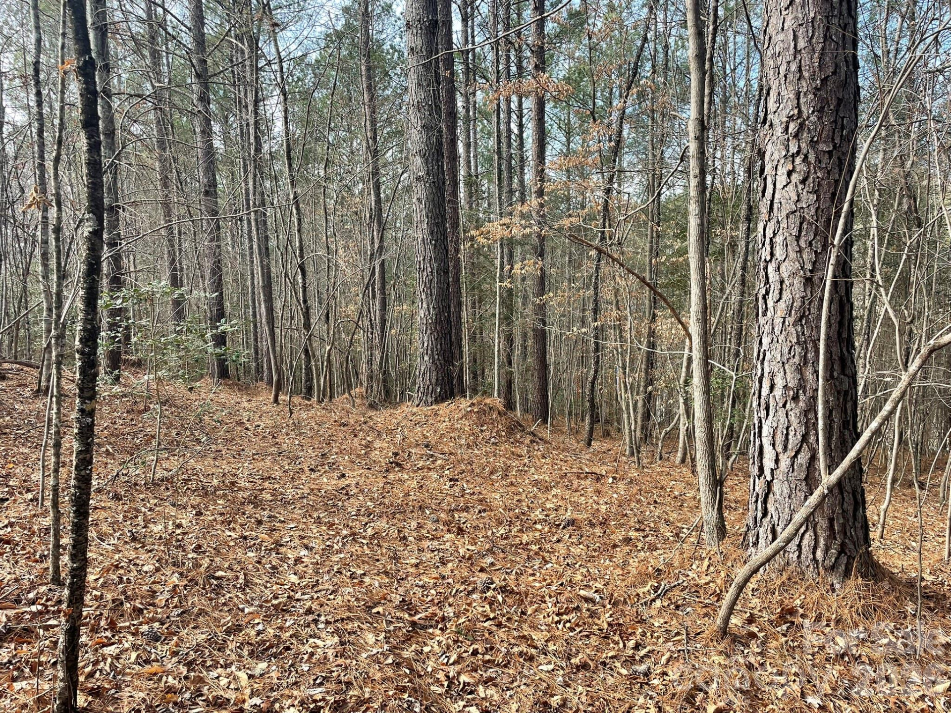 4650 John Berry Road - Photo 12