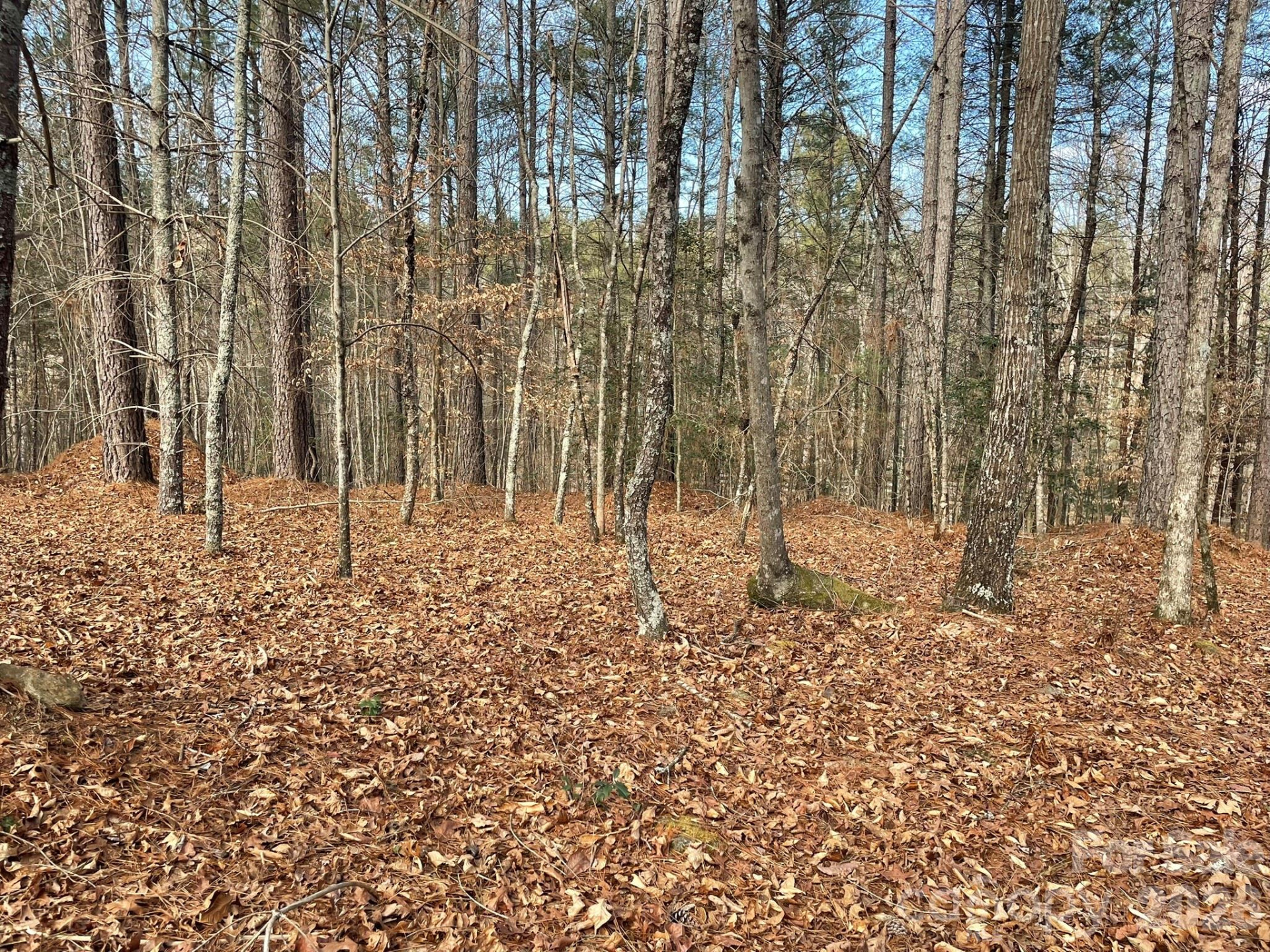 4650 John Berry Road - Photo 9