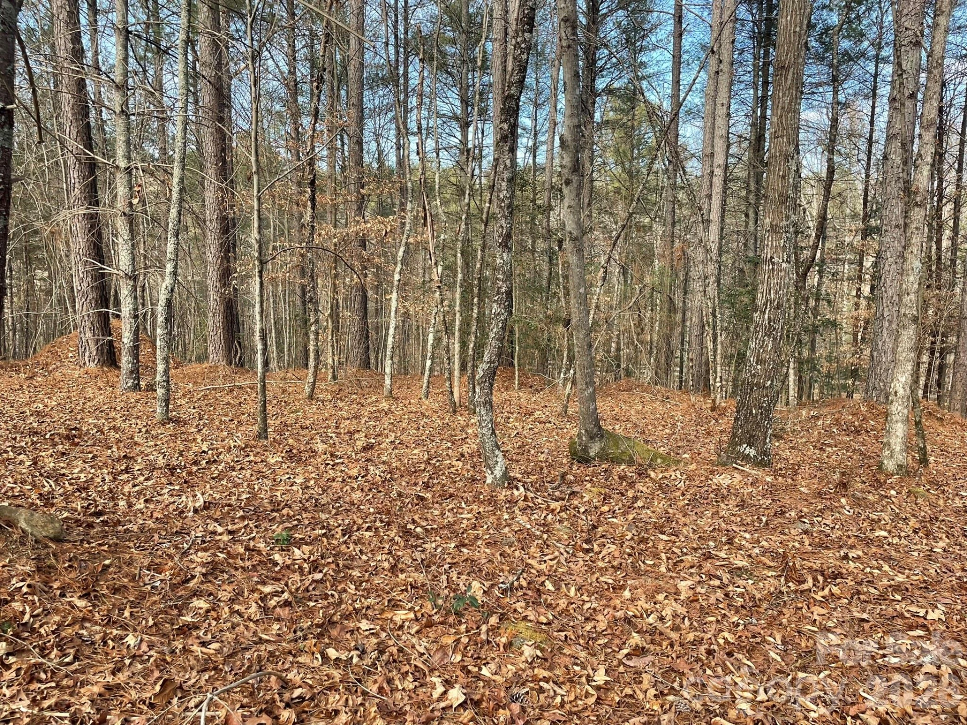 4650 John Berry Road - Photo 9