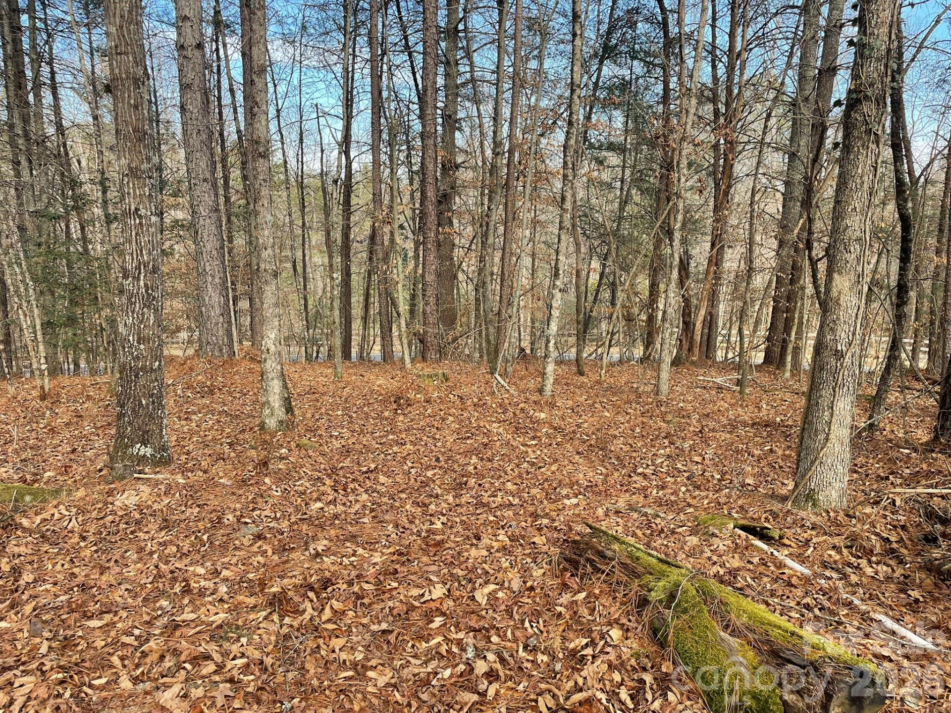 4650 John Berry Road - Photo 10