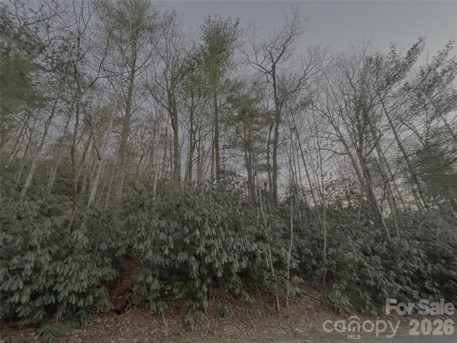 742 Zelda Court #71 - Photo 2