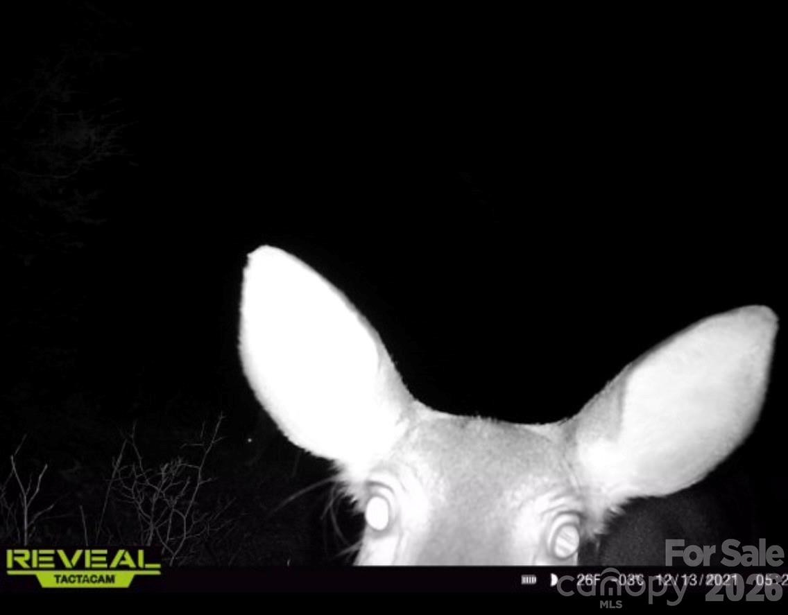 7039 Joe Bowman Avenue - Photo 34