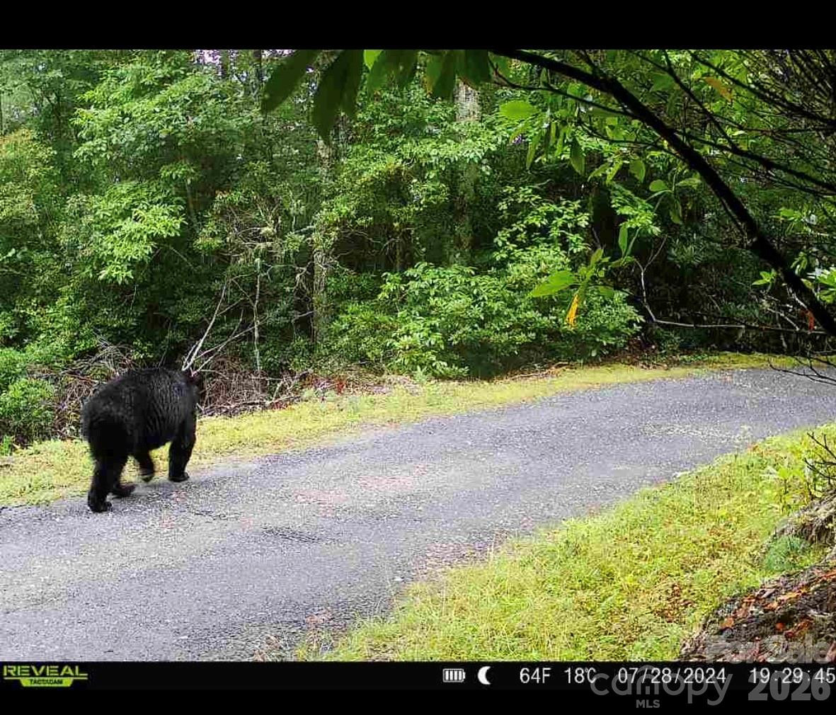7039 Joe Bowman Avenue - Photo 35