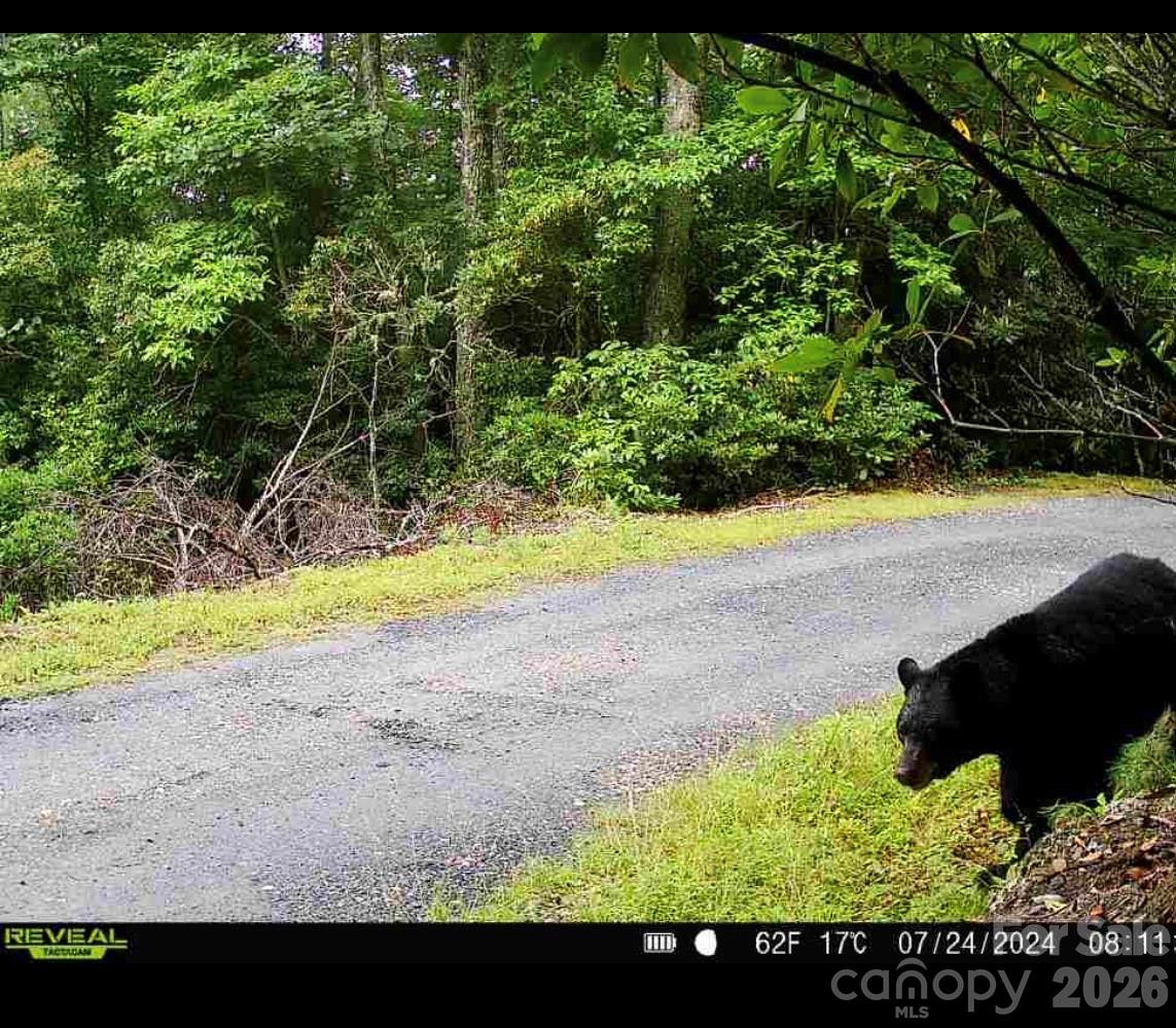 7039 Joe Bowman Avenue - Photo 36