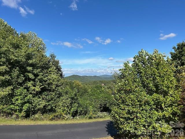 0 Tahawus Drive - Photo 2