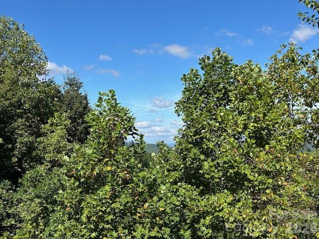 0 Tahawus Drive - Photo 3