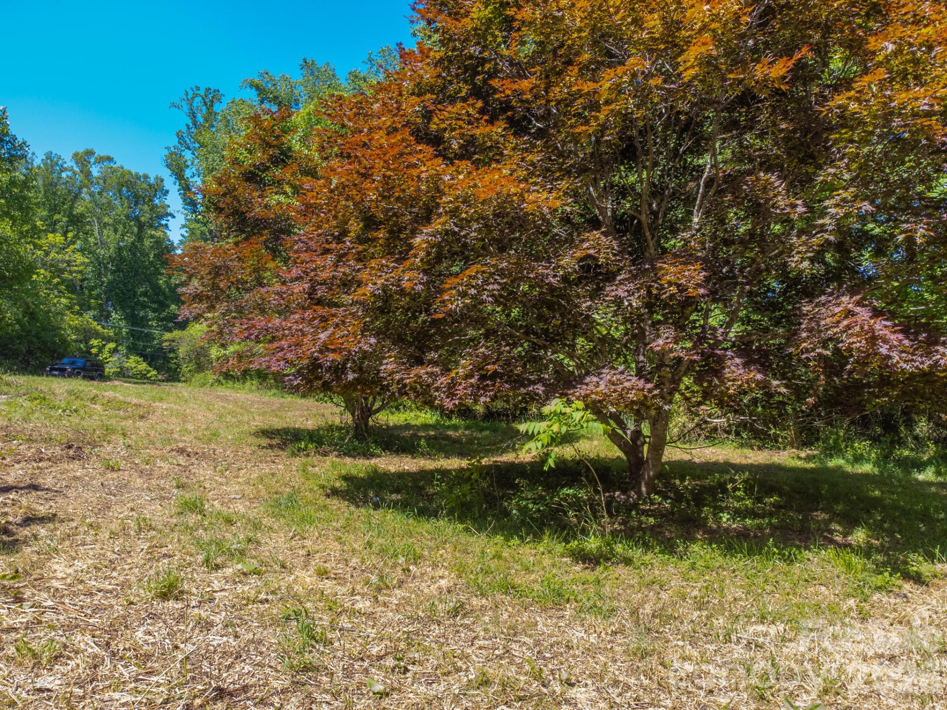 27 Shep Drive - Photo 13